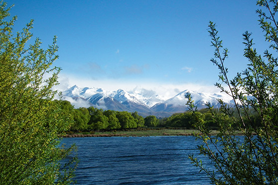 Spring Trout Fishing