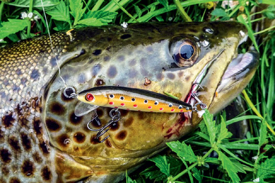 black lures for fishing trout Leland's Lures Trout Magnet Fishing Lure and Hook Pack, 9pc