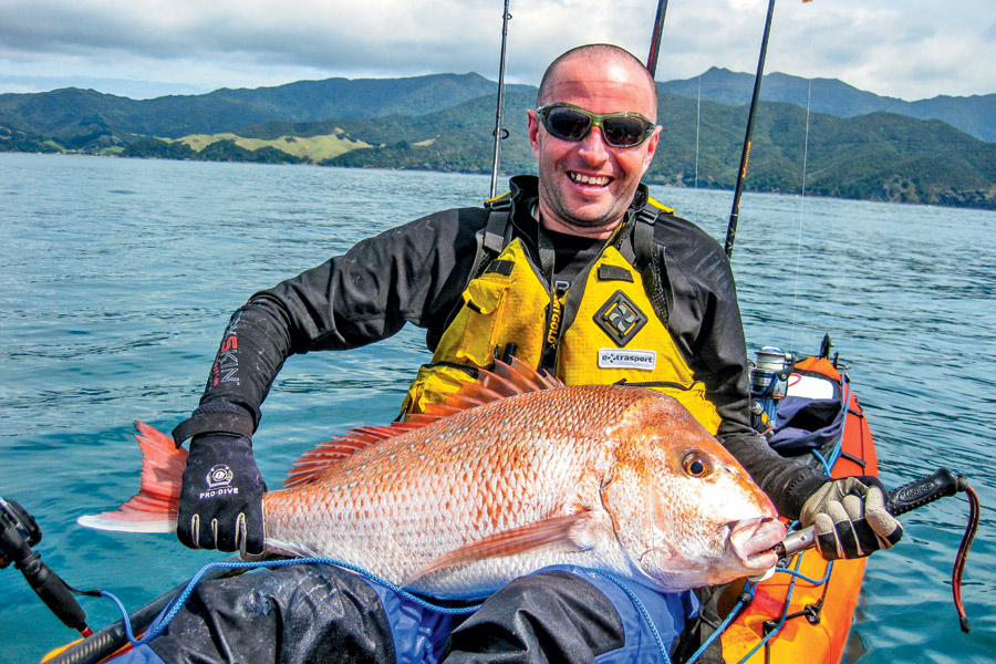 Spring Coromandel snapper