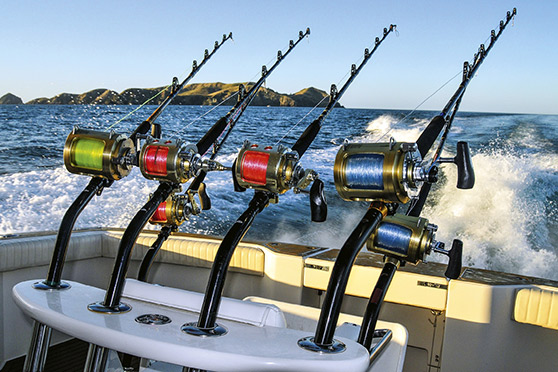 Fishing Rod And Reel Combo