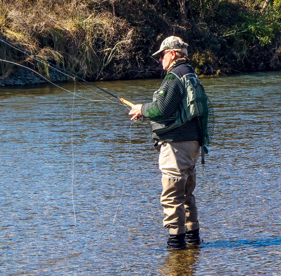 Trout fishing spots close to our highways