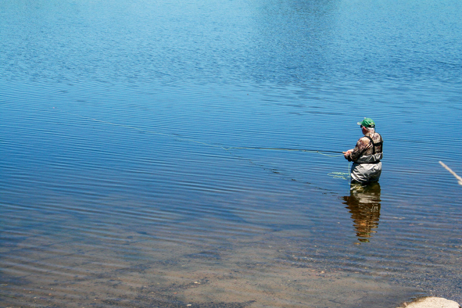 How to stillwater fly fish in New Zealand The Fishing site