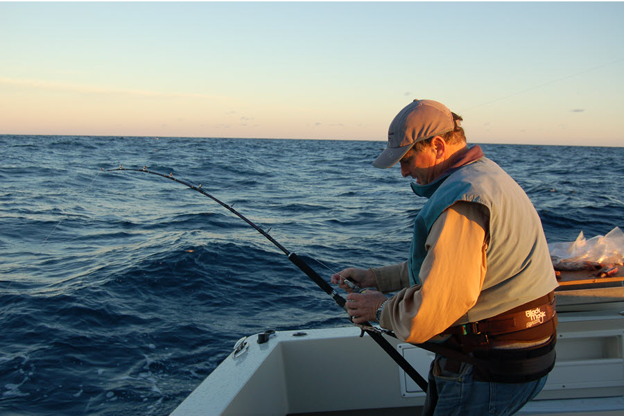 Gamefishing Techniques - Helming Tactics