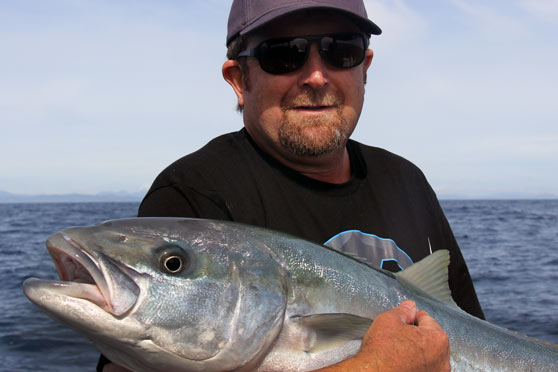 Kingfish - methods for catching them