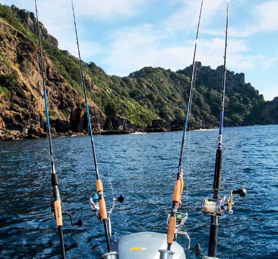 Shimano Energy Concept Rods