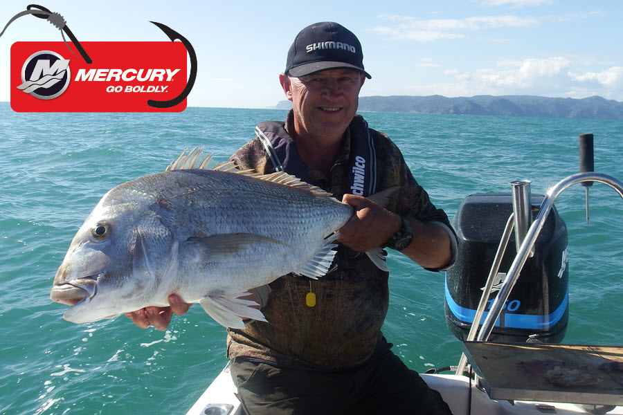 Manukau/West Coast Report March 9th, 2022 The Fishing site