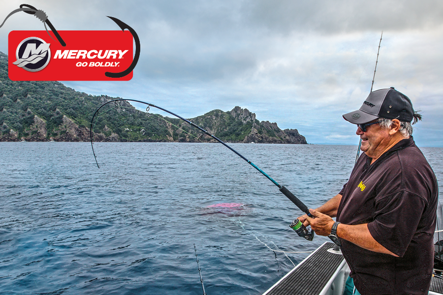 The Fishing site Fish Snapper, Kingfish The Fishing site