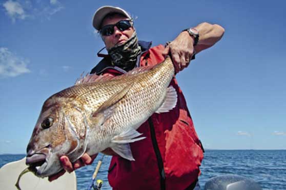 How to Catch Big Snapper on Softbaits