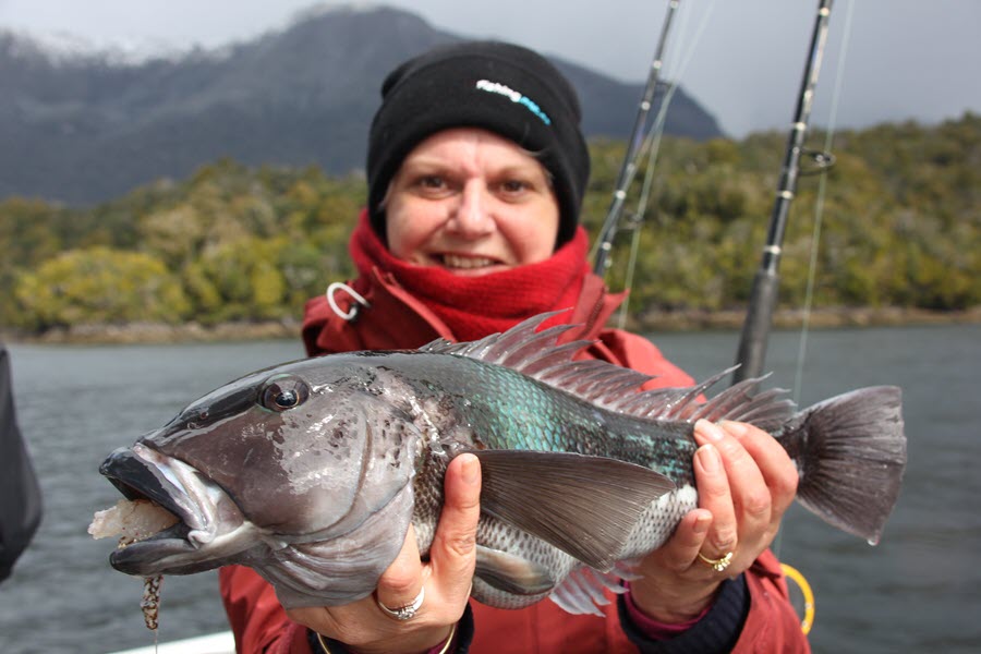 Comments Sought on Fiordland Fishing Rules The Fishing site