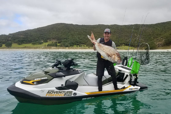 Champion Snapper Angler for DB Export Comp