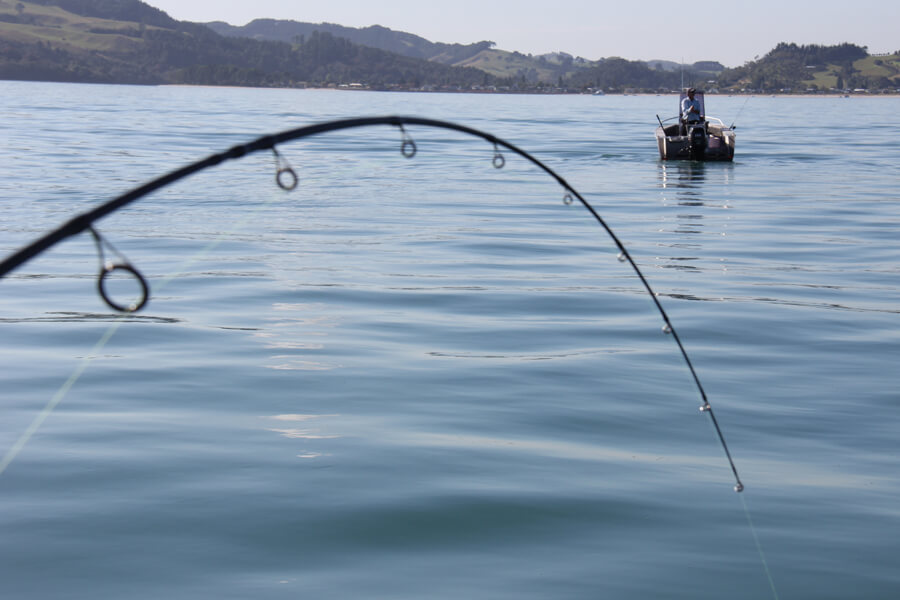 Fishing Knots
