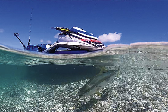 Livebaiting from a jetski