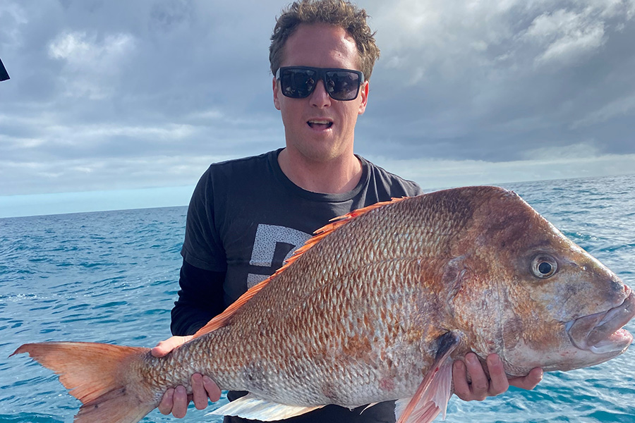 September 2021 Export Comp Wrap Up