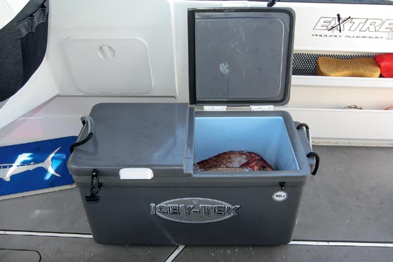 Icey-Tek double-lid bins