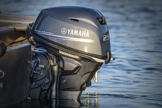 Yamaha F25