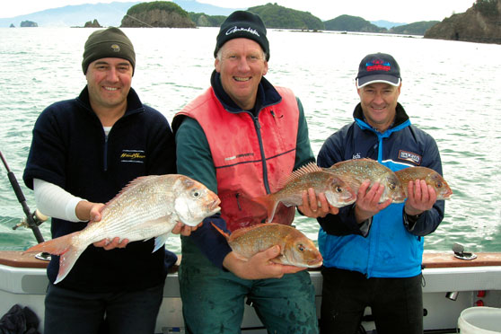 Do snapper shrink?