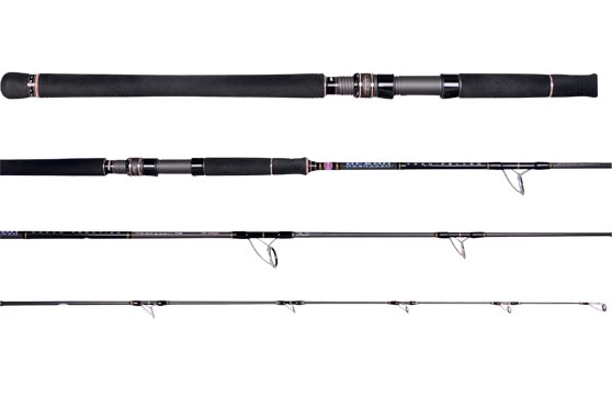 Penn Ocean Assassin Overhead Series