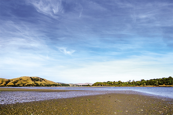 Destination review: Pounawea estuary