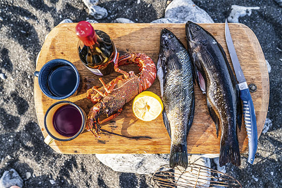 Spearfishing the Stunning South Island