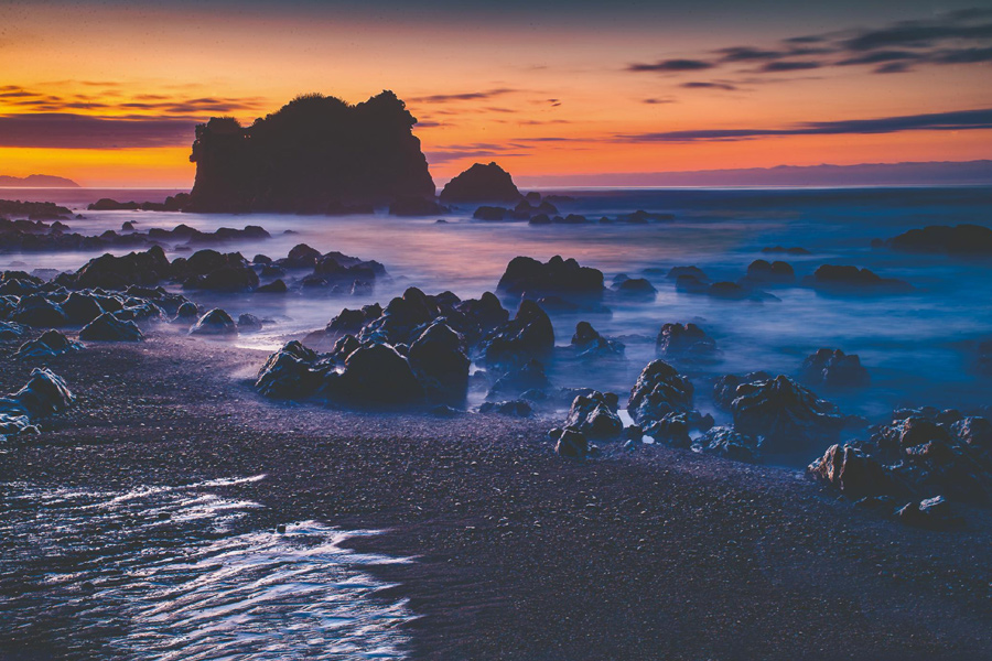 Marine Photo Competition