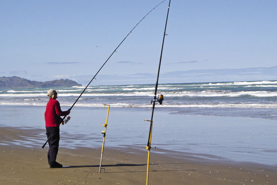 Surfcasting for big snapper