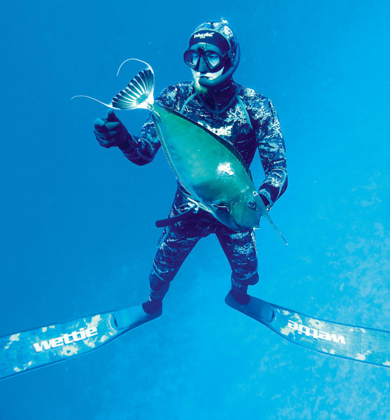Spearfishing tips The Fishing site
