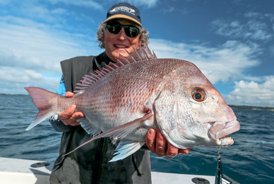 Catching snapper on stickbaits