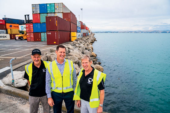 Artificial reef planned for Napier