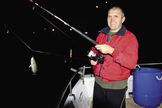 Using jack mackerel for livebait p2t