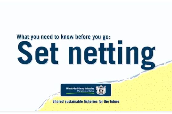 MPI set netting video