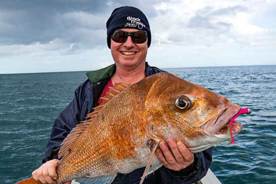 Paddle Tail Soft-Baits