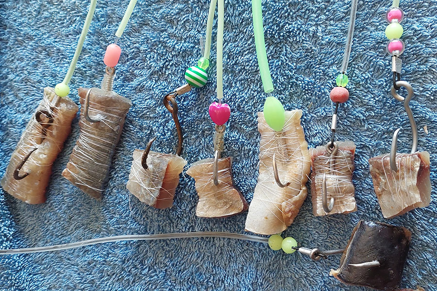 Kontiki Fishing Report December 16th, 2021 The Fishing site