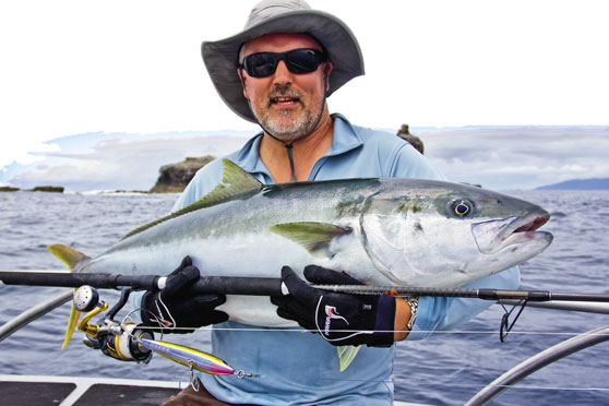 Stick-baits - targeting kingfish