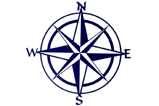 Navico Precision 9 Compass
