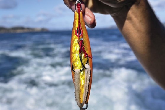 Slow Jigs - adding extra spice
