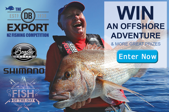Win an Offshore Adventure