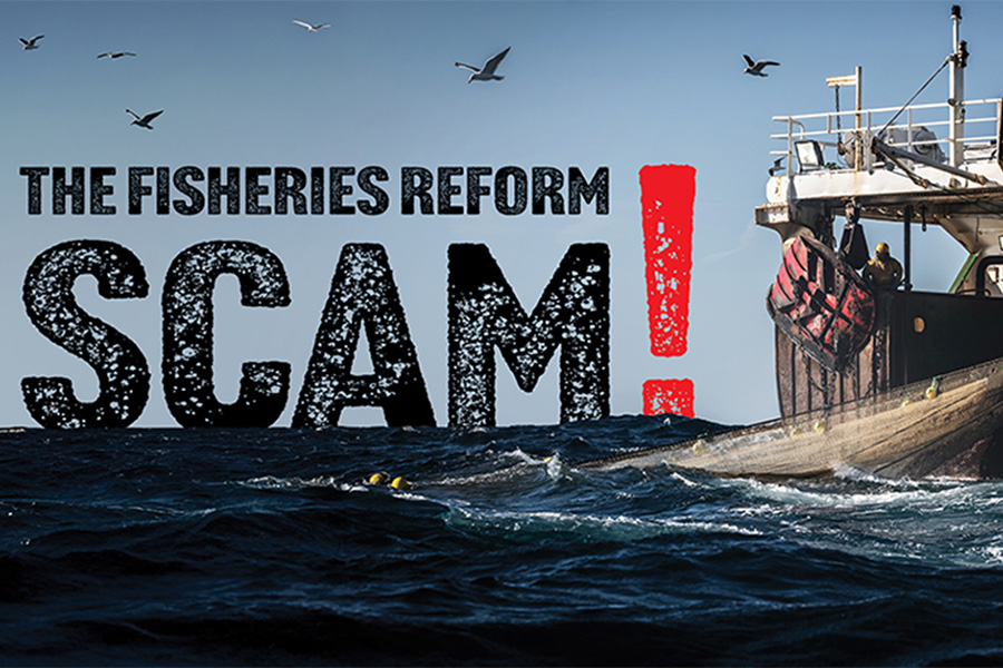 Help! Inshore Fisheries Under Threat - The Fishing Website