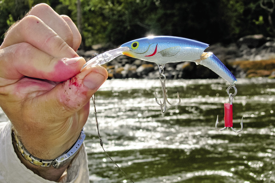 Choosing the right lures