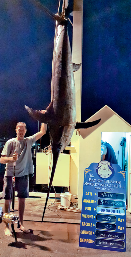 Broadbill Swordfish Solo The Fishing site