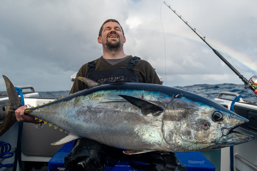 Bluefin Tuna Tactics The Fishing site