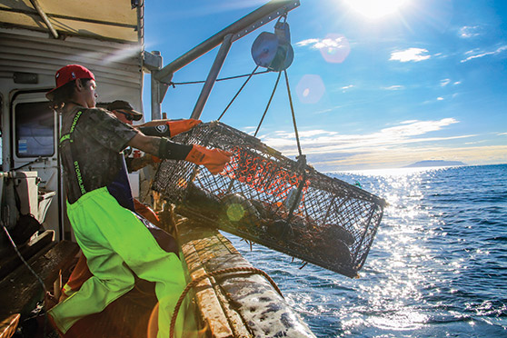 Three Days On Board a Commercial Cray Boat - The Fishing Website