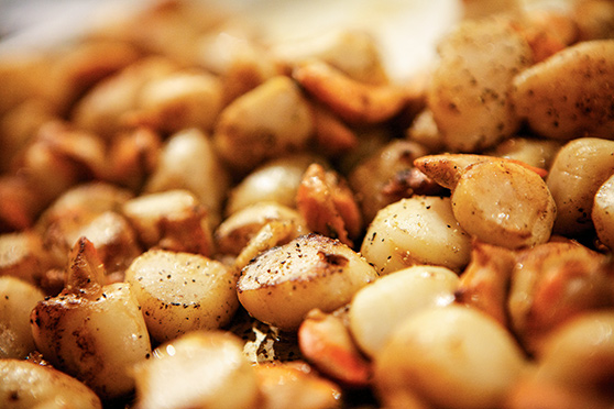 NZ Scallops &ndash; Part 1