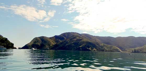 Kayak fishing spots in the South Island
