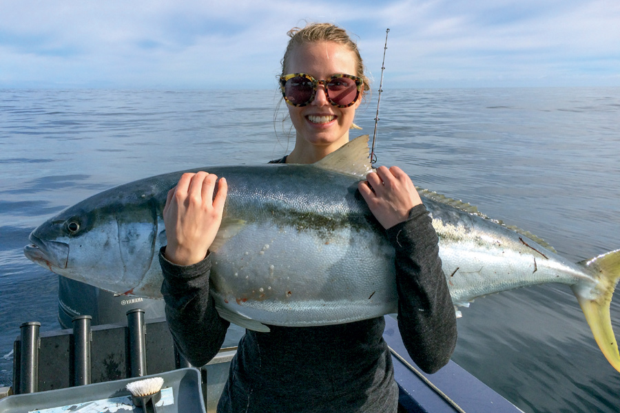 Livebaiting for kingfish