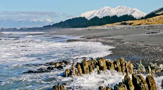 Fishing spots on the Manakau