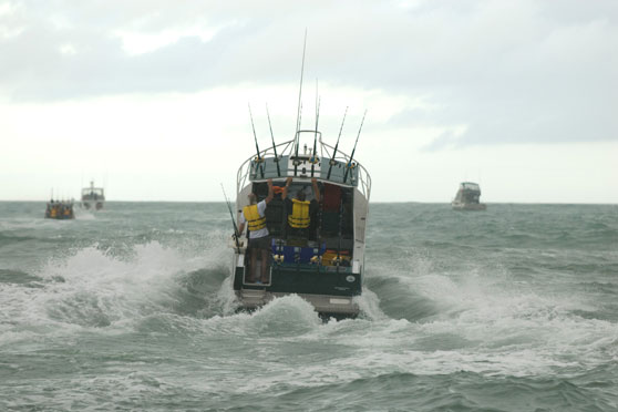 Trip and Bar Crossing Reports