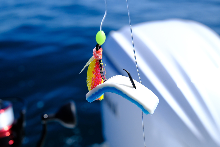 Fishbites Synthetic Baits Attracting Fishes and Fishers The Fishing site