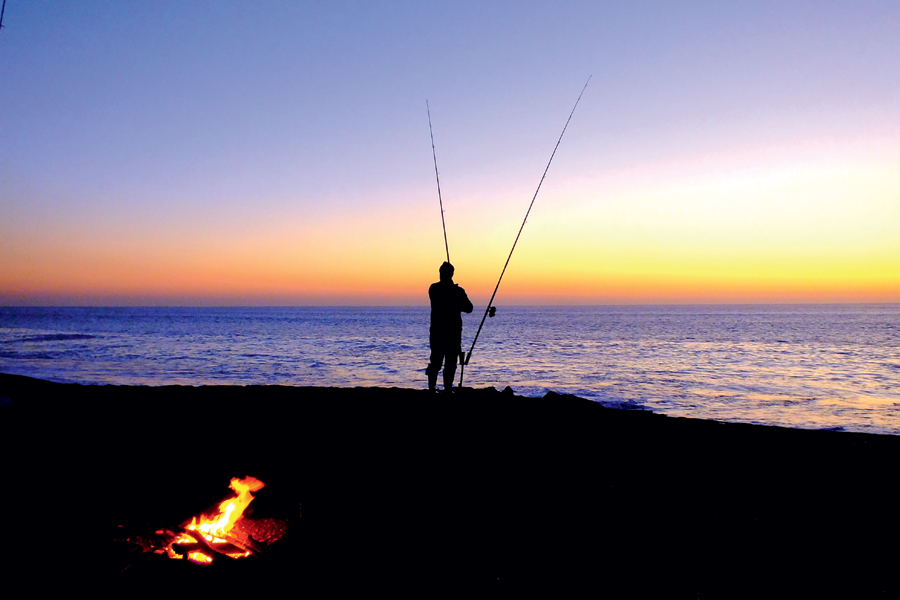 Choosing the Right Bait for Surfcasting