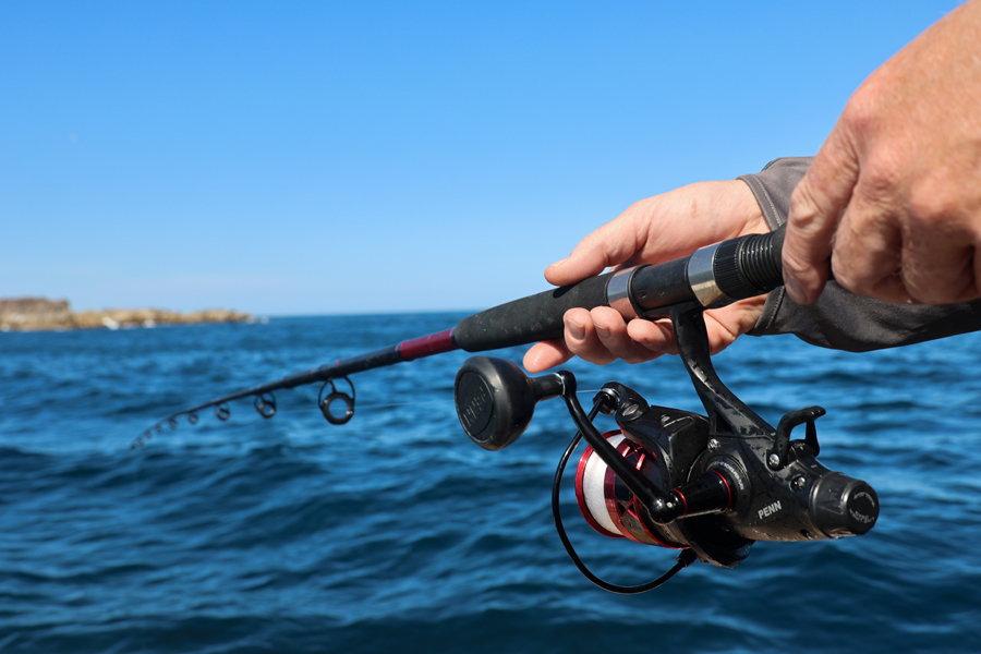 penn fierce fishing rod warranties Pursuit V Spinning Combo 100 carbon fiber drag system PENN Fierce Rod and Reel