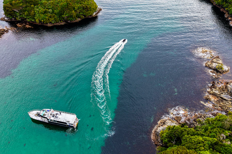 Fishing & Diving Adventure in Fiordland, NZ